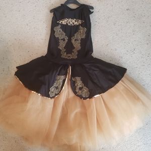 Ballet costume